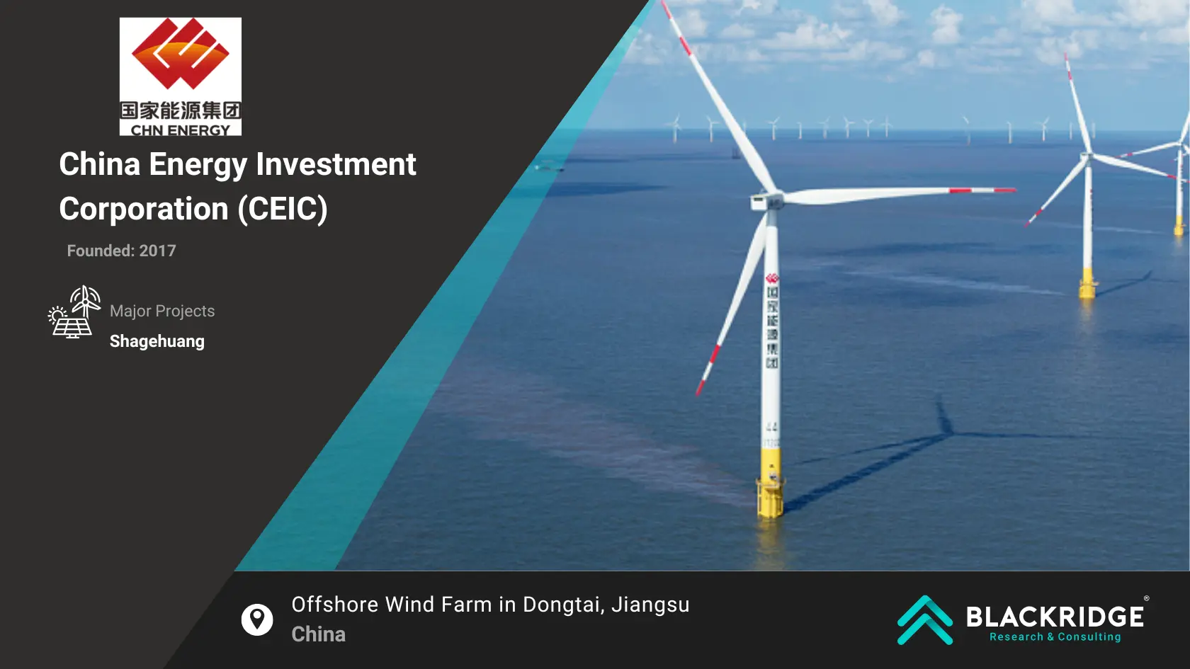 largest renewable energy companies